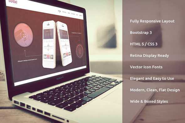 Tone - Creativemarket Responsive Bootstrap Theme