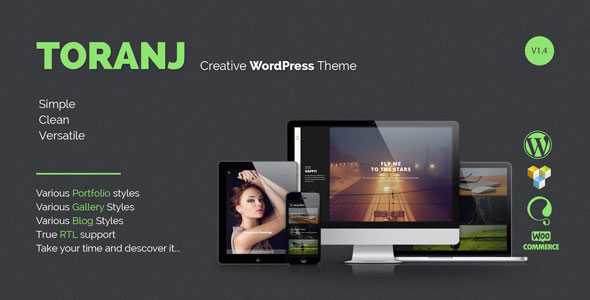 Toranj v1.5 - Responsive Creative WordPress Theme