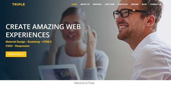 Triple v1.0 - Multipurpose HTML5 Template