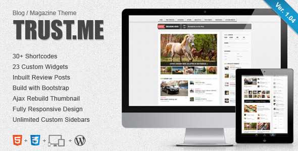 TrustMe - Themeforest Responsive WordPress Magazine / Blog