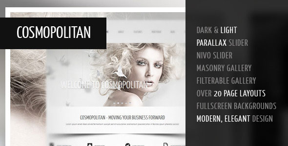 Cosmopolitan - Themeforest Professional Business HTML Theme