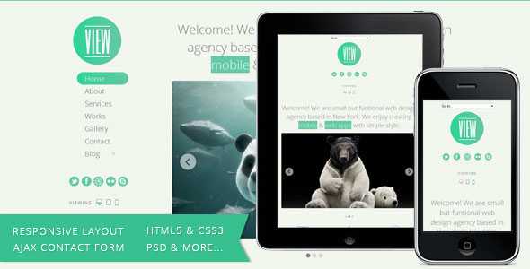 View - HTML5 Responsive Single Page Template