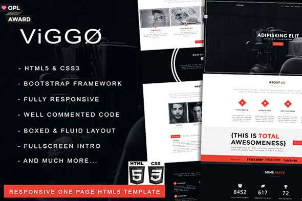 VIGGO - Creativemarket One Page HTML5 Template