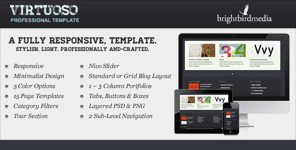 Virtuoso v1.0 - Responsive Minimalist HTML Template