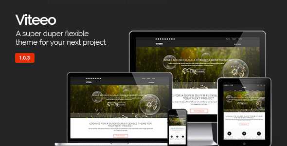 Viteeo - Themeforest Responsive Business Theme
