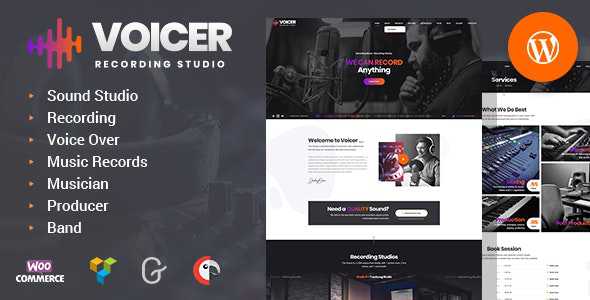 Voicer v1.0 - Recording Studio WordPress Theme