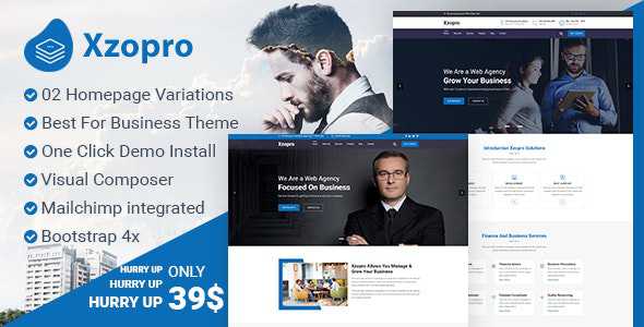 Xzopro v1.0.0 - Finance And Business Consulting WordPress Theme